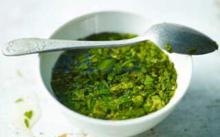 How to make mint sauce at home. TOP 15 sauce recipes from English for meat to chocolate mint for dessert