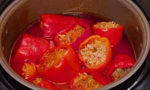 Recipes for a delicious sauce for stuffed peppers with sour cream, tomato paste, and mayonnaise.